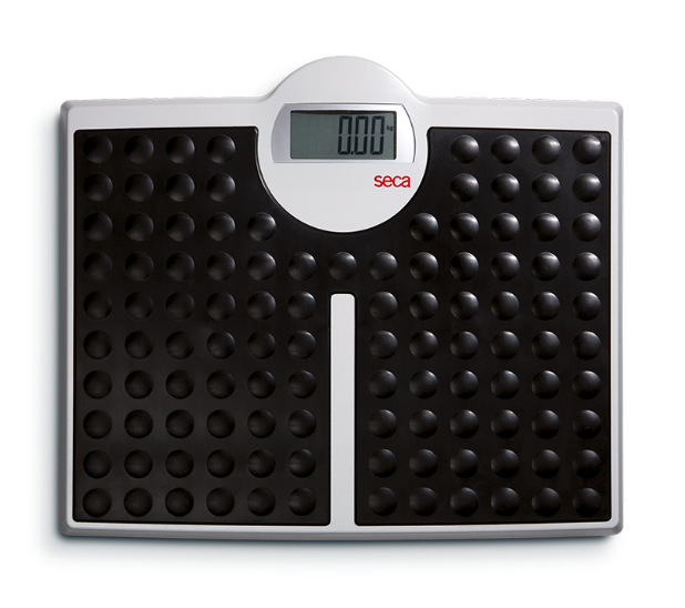 SECA FLAT BODY SCALE 813