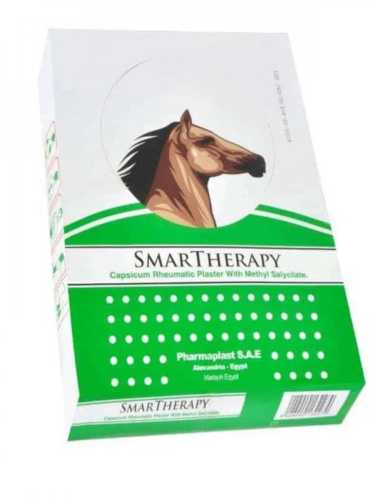 Smart Therapy Capsicum Rheumatic Plaster (pain relief patches)