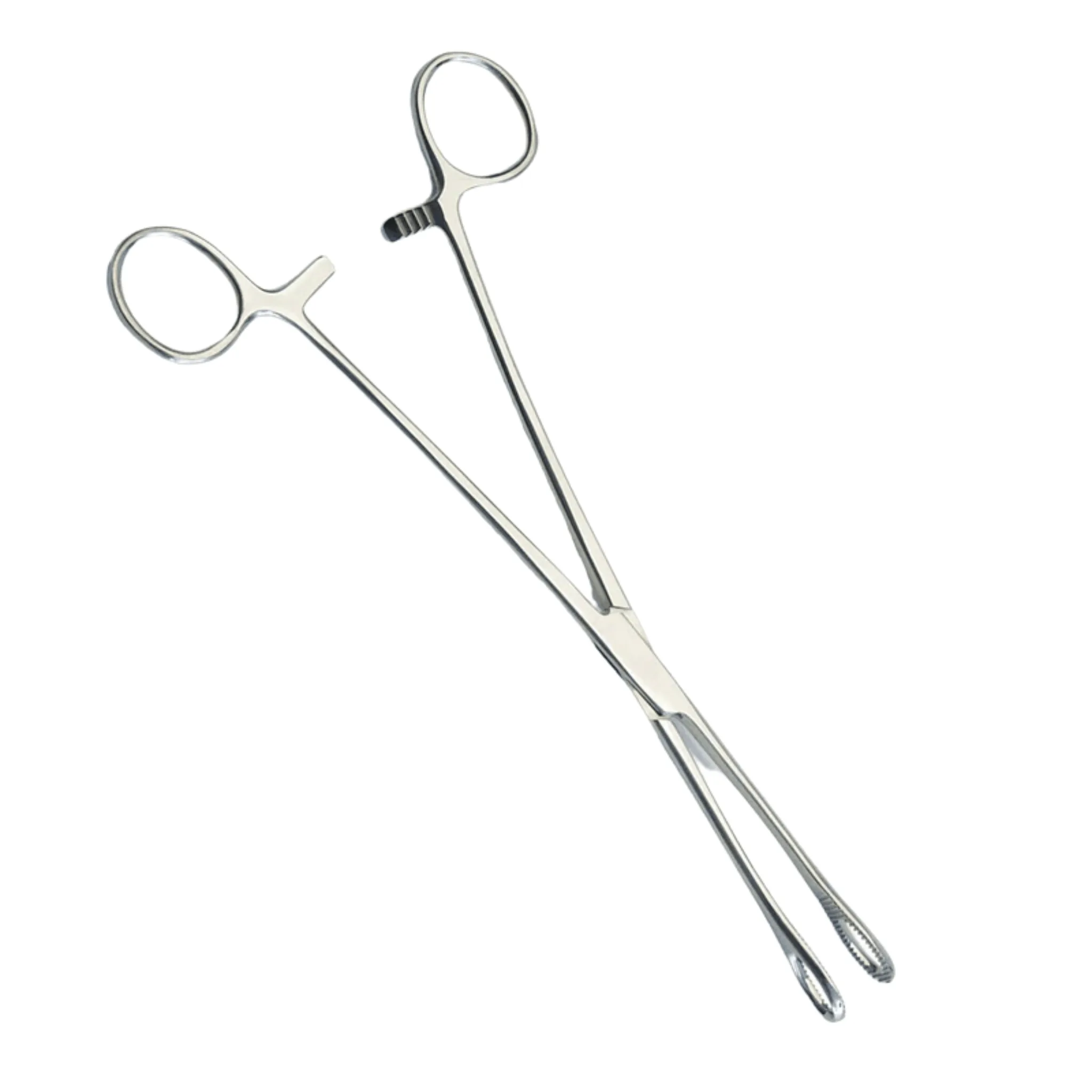 Sponge Holding Forceps